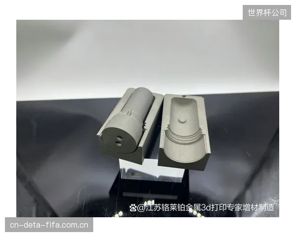 到2028年，3D打印技术将允许精英运动员根据自己的技术特点和训练需求，定制专属形状与耐磨系数的标定点（Holds）