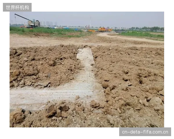 尽管SubAir系统初始投资高昂，但通过显著降低因场地积水导致的赛事延期、转播损失以及草坪重铺费用，其全生命周期成本优势正被更多俱乐部认可